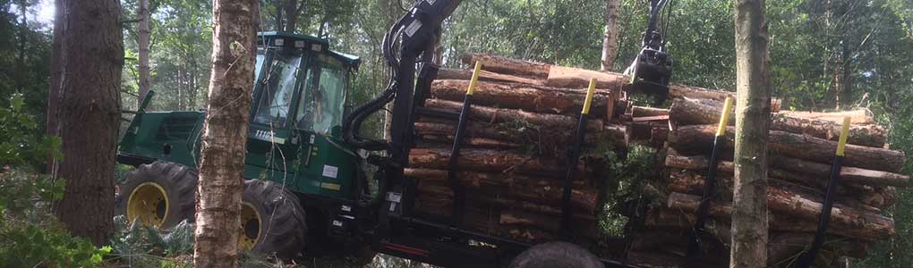 wood management